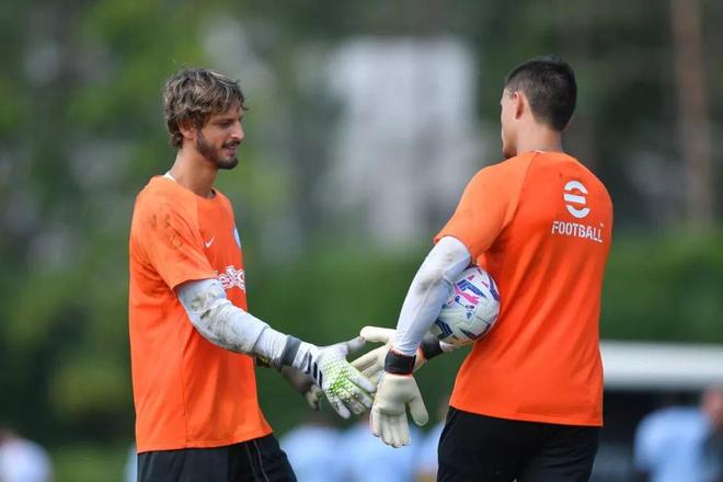 引发众怒，电讯报：摩洛哥为承办国际赛事大规模捕杀流浪狗（电讯报：摩洛哥为办国际赛事大规模捕杀流浪狗，激起公愤）