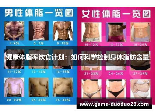 健康体脂率饮食计划：如何科学控制身体脂肪含量